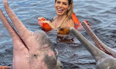 Erika Schneider nada com botos no Rio Negro (Divulgação)