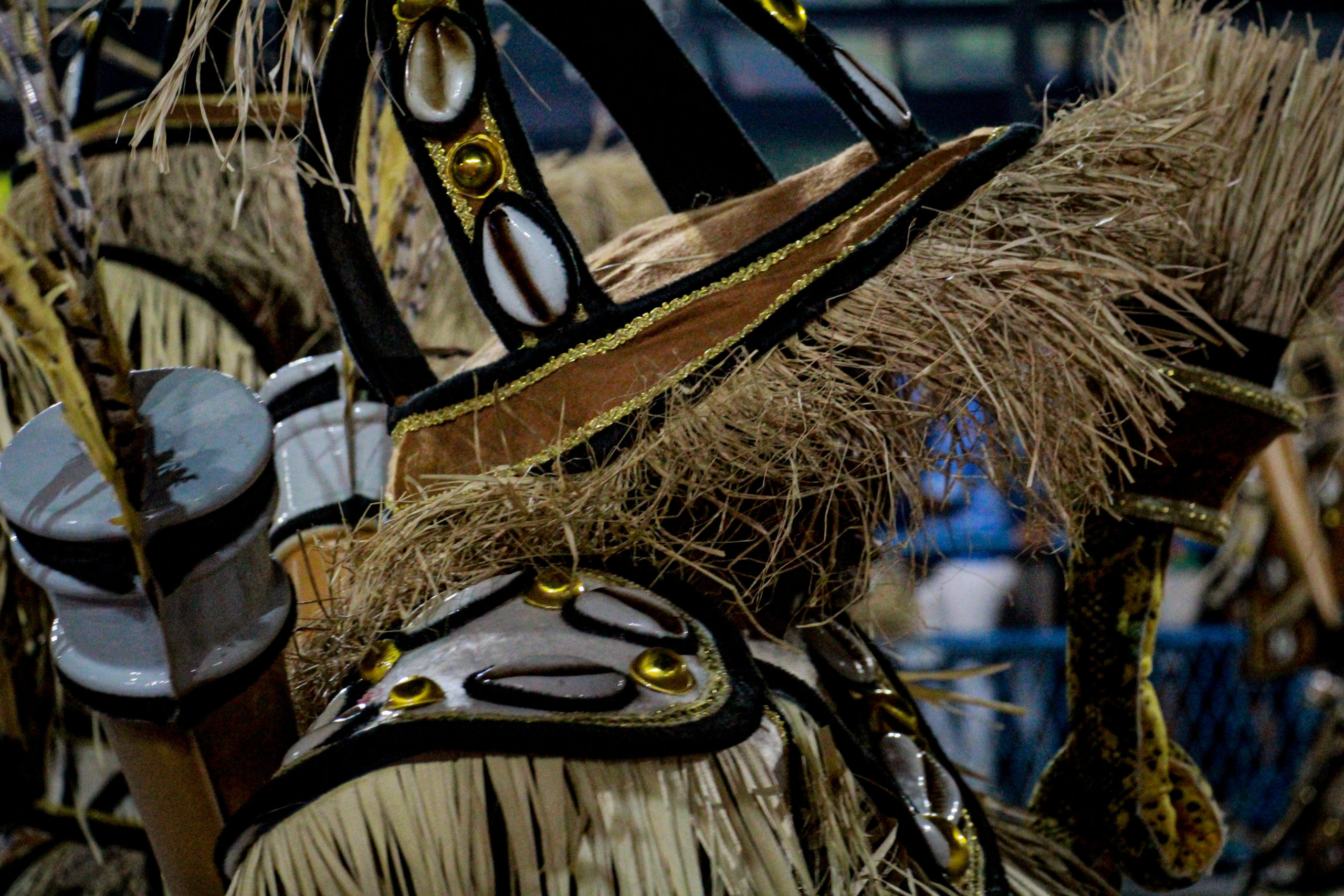 Paraíso do Tuiuti (Foto: Talita Giudice/Super Rádio Tupi)