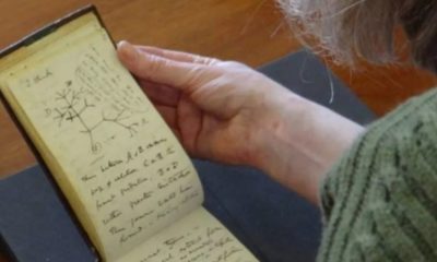 Jessica Gardner ficou emocionada por ter os blocos de volta