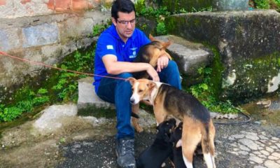 Imagem do secretário Marcelo Queiroz com cachorros