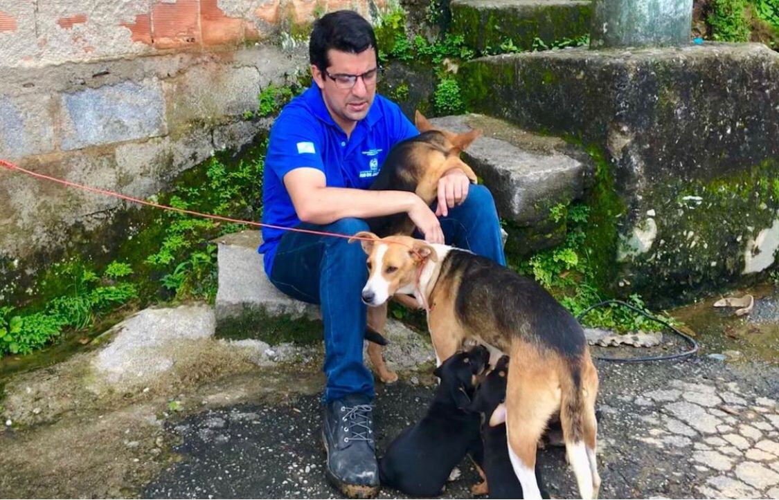 Imagem do secretário Marcelo Queiroz com cachorros