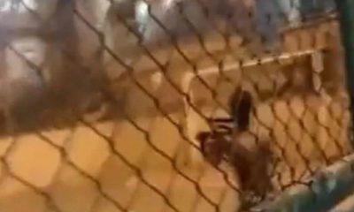 Tiroteio no Morro do Juramento