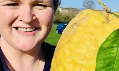 Mulher com limão gigante na Inglaterra