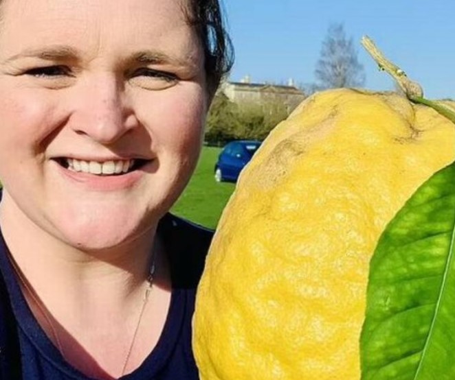Mulher com limão gigante na Inglaterra