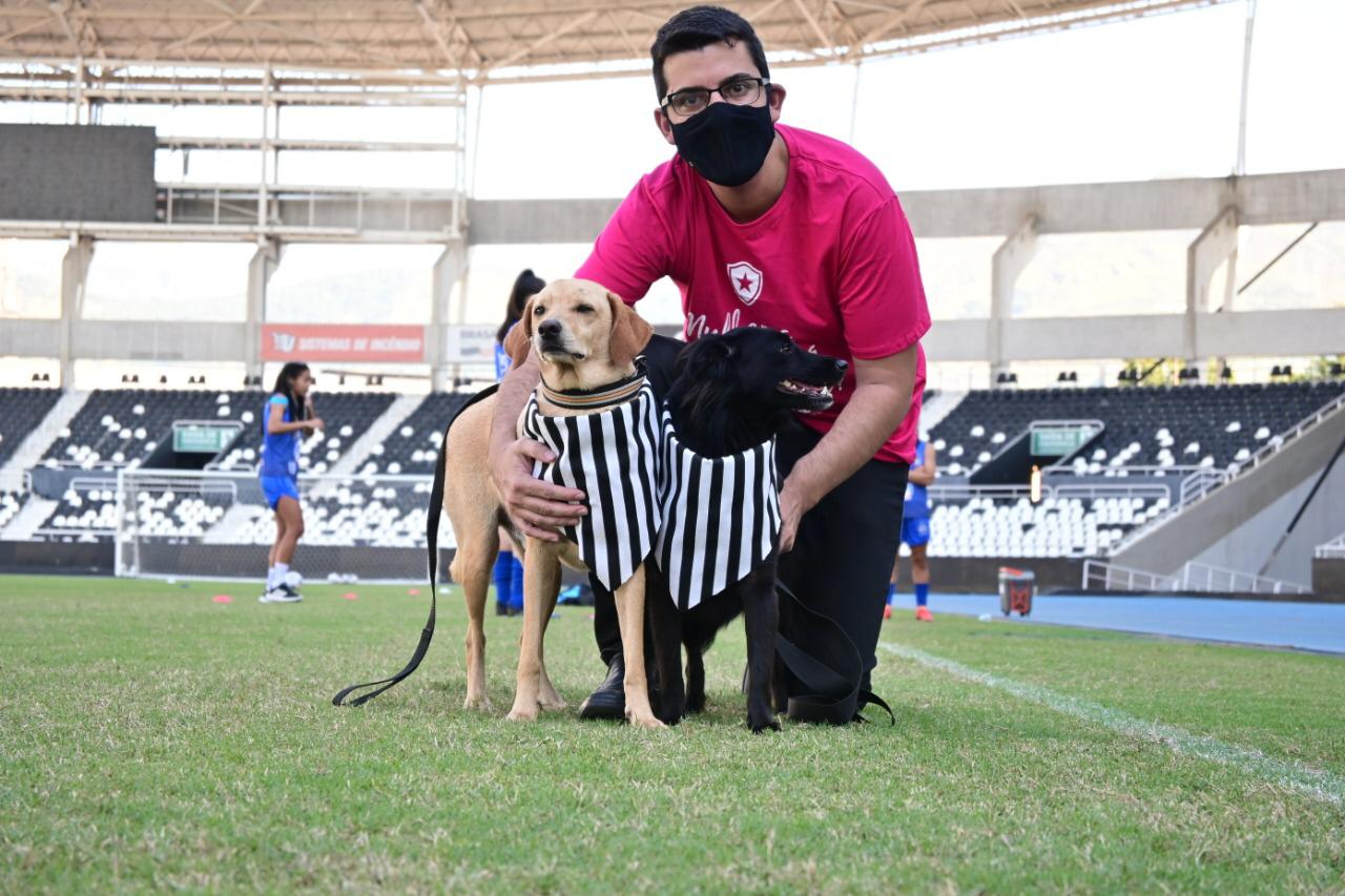 Imagens do secretário Marcelo Queiroz com dois cachorros à beira do gramado do Engenhão
