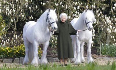 Rainha Elizabeth II ao lado de dois pôneis