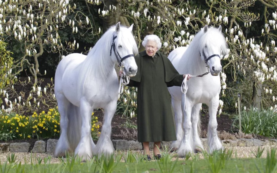 Rainha Elizabeth II ao lado de dois pôneis