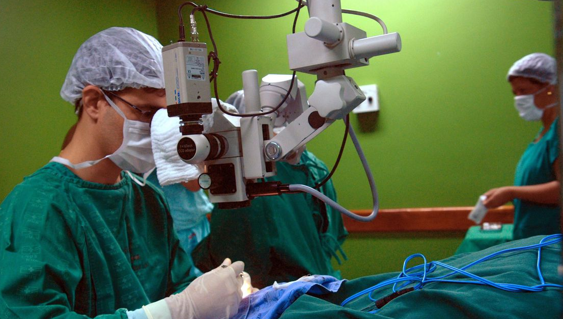 cirurgia sendo realizada