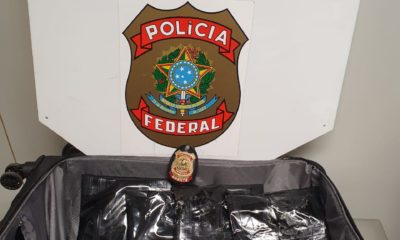 Imagem das drogas que foram apreendidas pela Polícia Civil