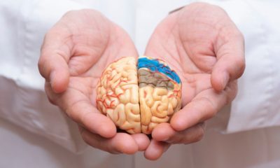 Novidade no tratamento contra Alzheimer: 'O medicamento oferta esperança' (DIvulgação)