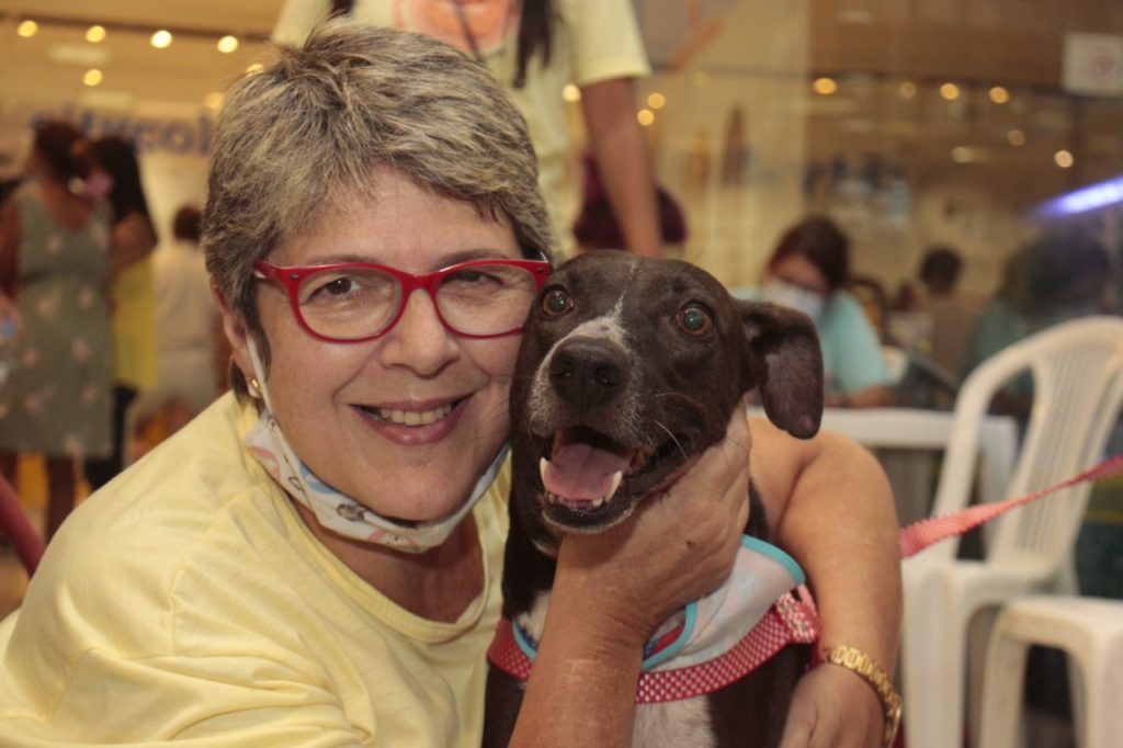 doação de animais karla de lucas