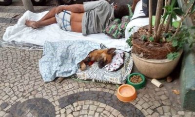 Câmara do Rio aprova lei que autoriza moradores de rua a entrar em abrigos com animais de estimação