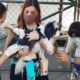 Prefeitura inicia vacinação contra a raiva em cães e gatos na Ilha do Governador (Foto: Cyro Neves/ Divulgação: Super Rádio Tupi)