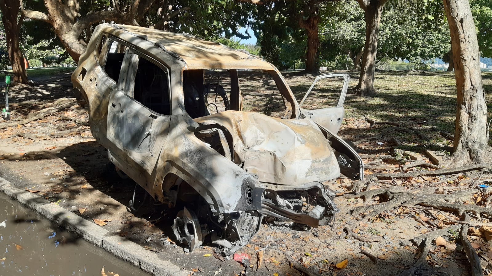 Carro bate em poste e pega fogo na Zona Sul do Rio (Foto: Mateus Mesquita/ Divulgação: Super Rádio Tupi)
