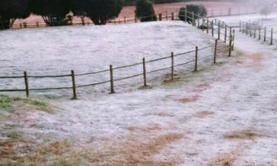 imagem da geada na região serrana