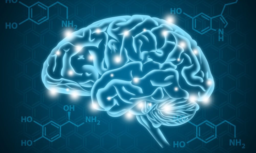Dopamina: Importante neurotransmissor responsável pela sensação de ...