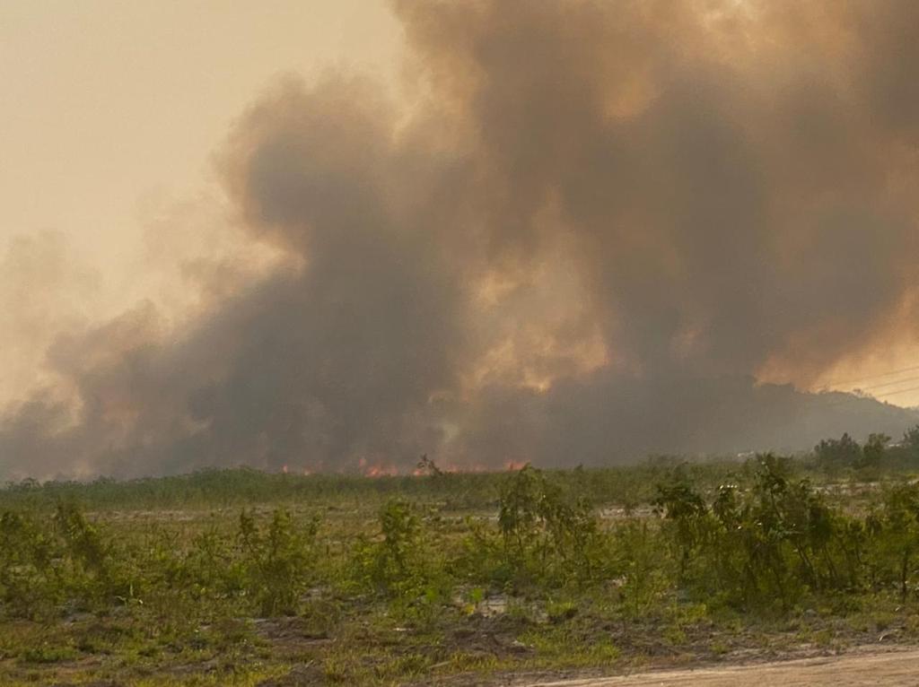 Incêndio de grandes proporções atinge reserva ambiental, em