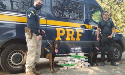 Imagem de dois policiais, um cachorro e drogas apreendidas