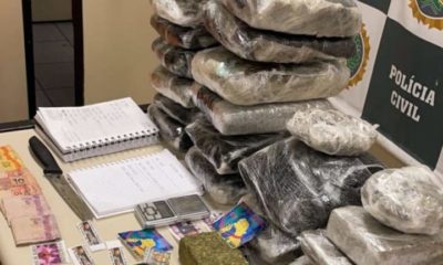 "Skunk Colômbia Gold", uma espécie de super maconha com alto valor comercial apreendida pela Polícia Civil