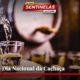 Hoje é o Dia Nacional da Cachaça