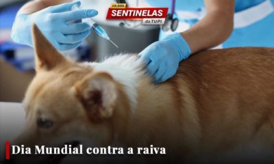 Dia Mundial Contra a Raiva Sentinelas da Tupi especial