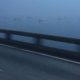 Neblina na ponte