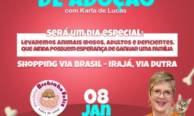 projeto bichinho feliz