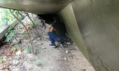 suspeito de abusar de cães na Zona Sul