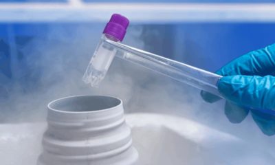 mulheres congelamento óvulos