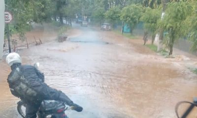 defesa civil toque de recolher