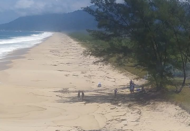 Resgate na Restinga da Marambaia, na Zona Oeste do Rio
