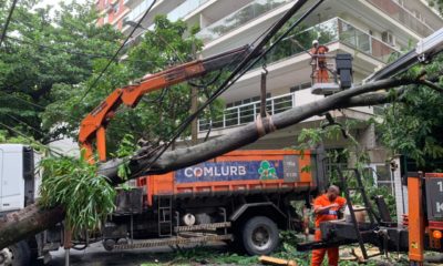 Chuva provoca queda de árvore e interdição no Jardim Botânico, na Zona Sul do Rio