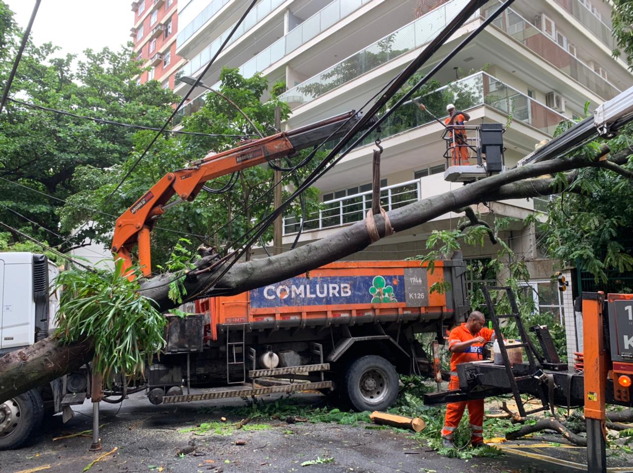 Chuva provoca queda de árvore e interdição no Jardim Botânico, na Zona Sul do Rio