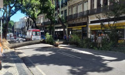Queda de árvore atinge pedestre no Centro do Rio