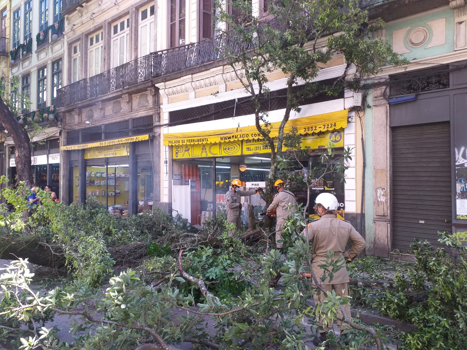 Árvore cai, atinge pedestre na Rua da Carioca e via é interditada