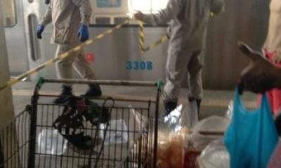 Dois homens ficam feridos após tentarem pular do trem em movimento