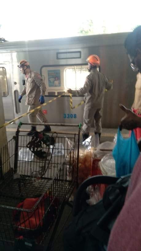 Dois homens ficam feridos após tentarem pular do trem em movimento