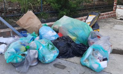 Falta de coleta de lixo causa transtornos em bairros da Zona Norte do Rio
