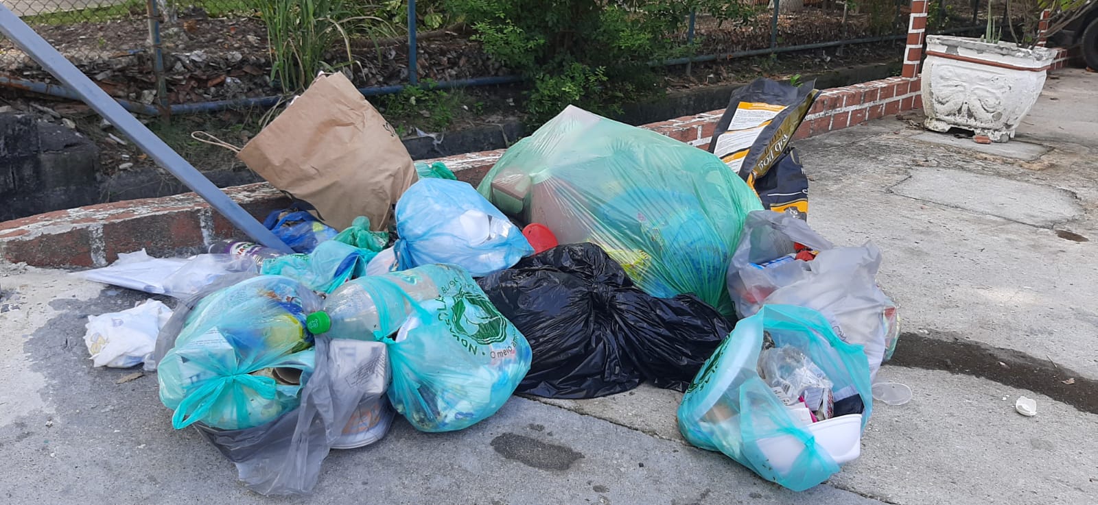 Falta de coleta de lixo causa transtornos em bairros da Zona Norte do Rio