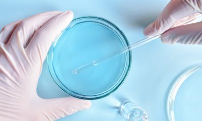 Dia Mundial do Infectologista: saiba sobre a importância da profissão