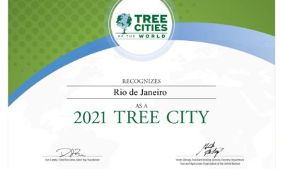 ONU e 'ONG Arbor Day' reconhecem Rio como cidade amiga das árvores