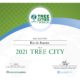 ONU e 'ONG Arbor Day' reconhecem Rio como cidade amiga das árvores