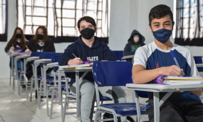 Enredos, ensino e história: uma combinação que dá samba