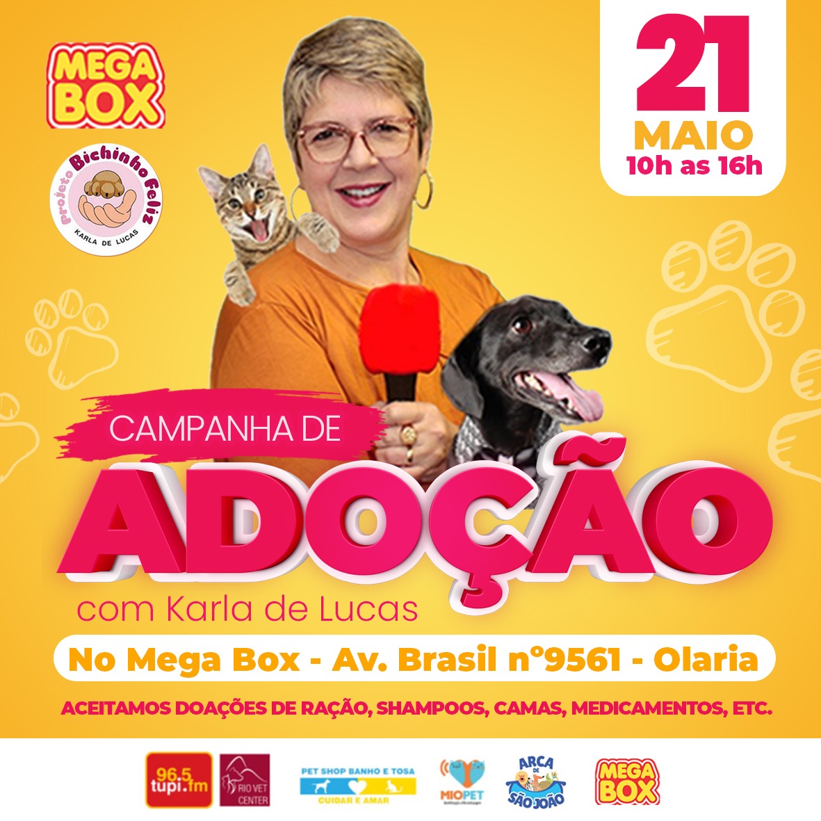 Projeto Bichinho Feliz realiza campanha de adoção de animais em Olaria neste sábado
