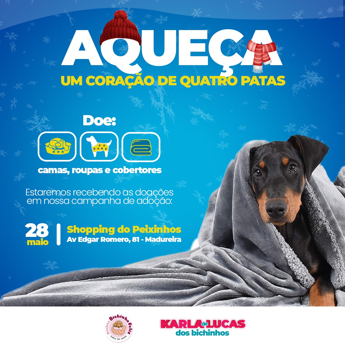 Cães e gatos estarão disponíveis para receber a visita do público das 10h ás 16h no Shopping dos Peixinhos