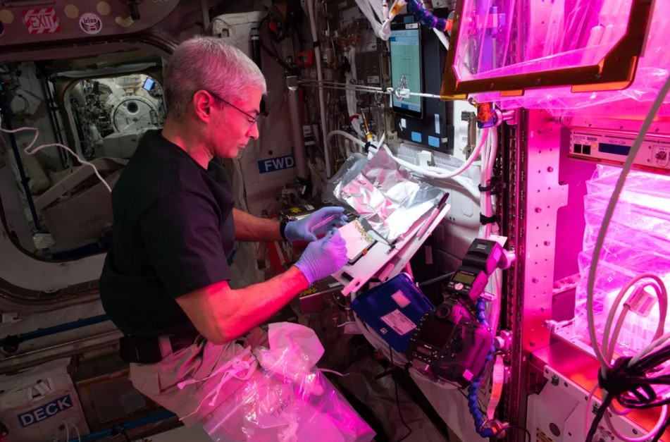 astronauta Mark Vande Hei chegou à ISS em abril do ano passado como parte da Expedição 66
