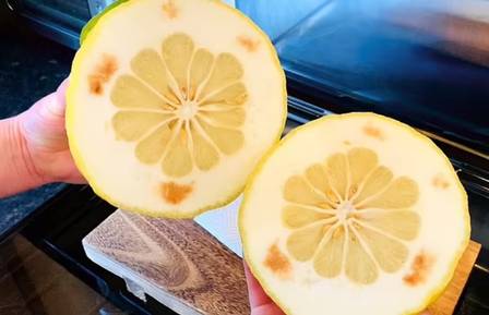 Mulher encontra limão gigante na Inglaterra 