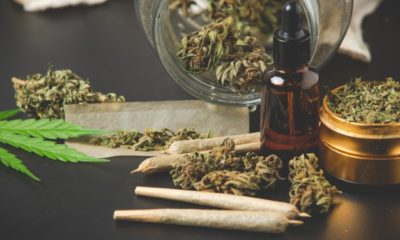 brotos-de-maconha-com-juntas-de-maconha-e-oleo-de-cannabis