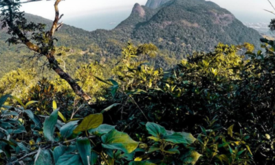 Veja a previsão do tempo para esta sexta, véspera de natal no Rio