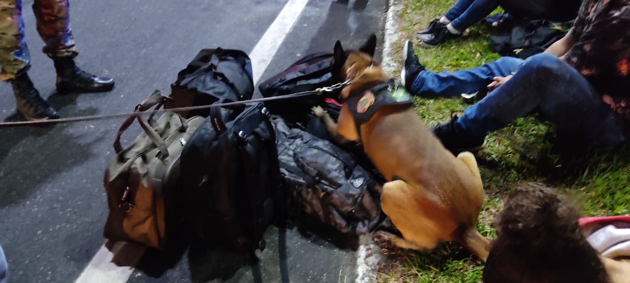 cocaína estava escondida dentro das bagagens dos passageiros